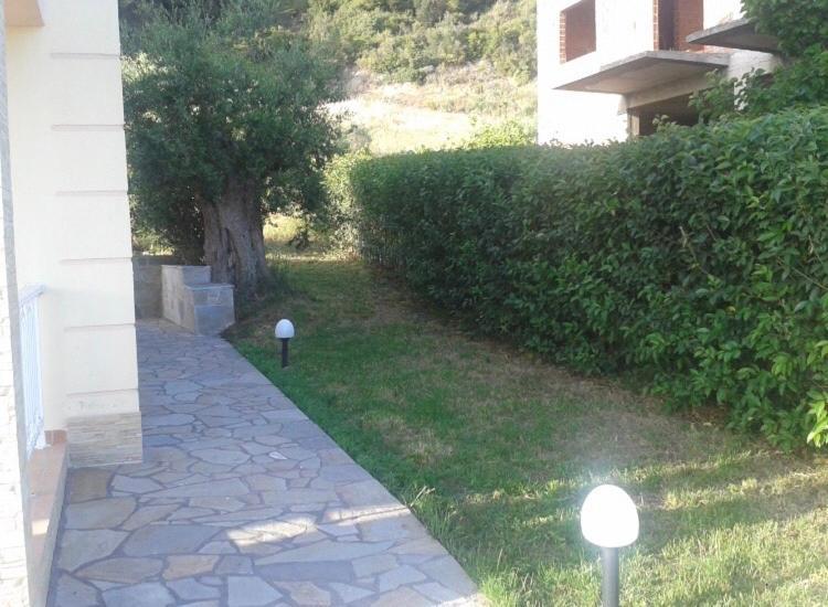 Sofia Studios نيا سكيوني المظهر الخارجي الصورة