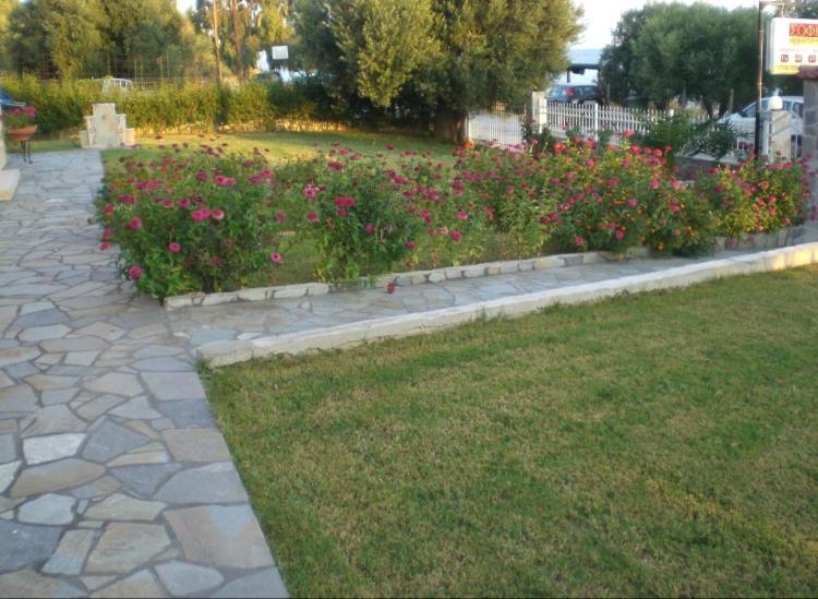 Sofia Studios نيا سكيوني المظهر الخارجي الصورة