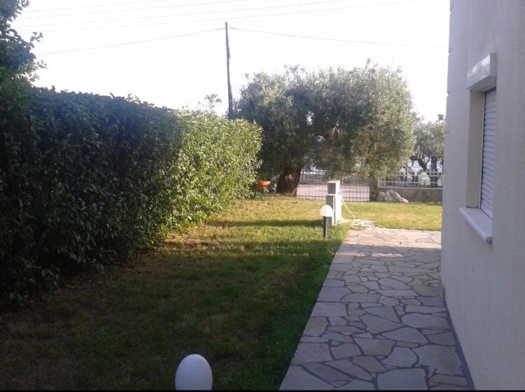 Sofia Studios نيا سكيوني المظهر الخارجي الصورة